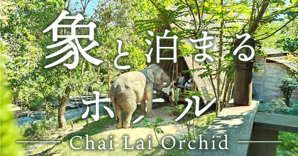 チャイライオーキッドホテルについての記事のアイキャッチ画像